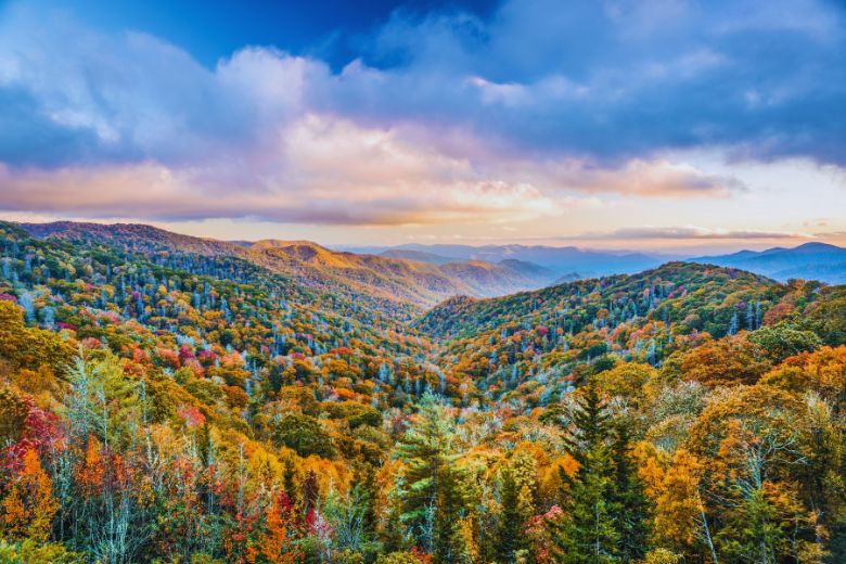 Top 6 Reasons to Experience Fall in the Smoky Mountains